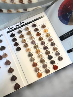 VIART SHINE Color Chart Book